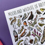 Moorland Wildlife Of Britain Watercolour Postcard, thumbnail 10 of 12