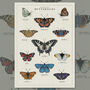 British Butterfly Art Poster, thumbnail 10 of 10