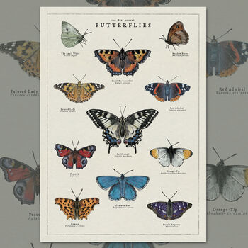 British Butterfly Art Poster, 10 of 10