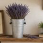 Grow Your Own Lavender Gift Set, thumbnail 5 of 8
