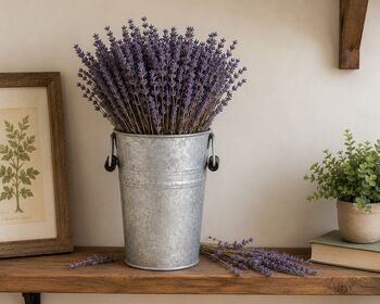 Grow Your Own Lavender Gift Set, 5 of 8