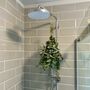 Fresh Shower Eucalyptus Bundle, thumbnail 2 of 9