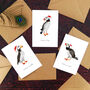 Puffin Species Christmas Card Pack, thumbnail 1 of 5