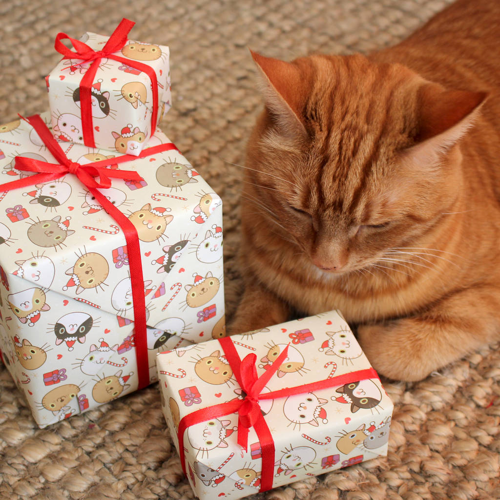 wrap a cat for christmas