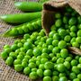 Vegetable Plants Peas 'Petit Pois' 16 X Plant Pack, thumbnail 2 of 5