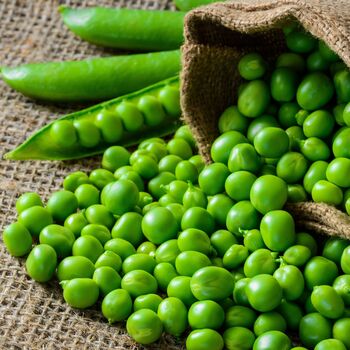 Vegetable Plants Peas 'Petit Pois' 16 X Plant Pack, 2 of 5