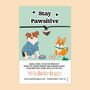 Stay Pawsitive Wish Bracelet, thumbnail 1 of 3