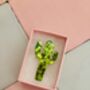The 'Desert Sparkle' Cactus Glitter Brooch / Botanical Gift For Her /Green Succulent Brooch / Birthday Gift For Plant Lovers, thumbnail 3 of 6