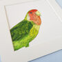 Peeking Parrot Giclée Art Print, thumbnail 3 of 4