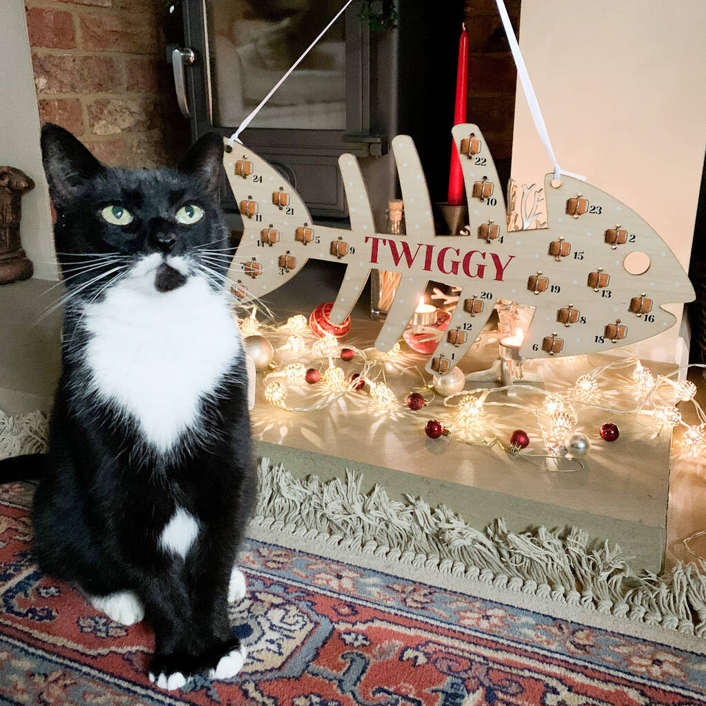 Personalised Wooden Cat Treat Advent Calendar By Proper Goose Notonthehighstreet Com