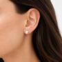 Freshwater Pearl Stud Earrings, thumbnail 3 of 7