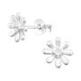 Mother's Day Silver Daisy Studs In A Gift Tin, thumbnail 2 of 10