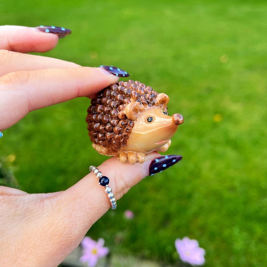 Hedgehog Keepsake Ornament With Gift Box, 1 of 4