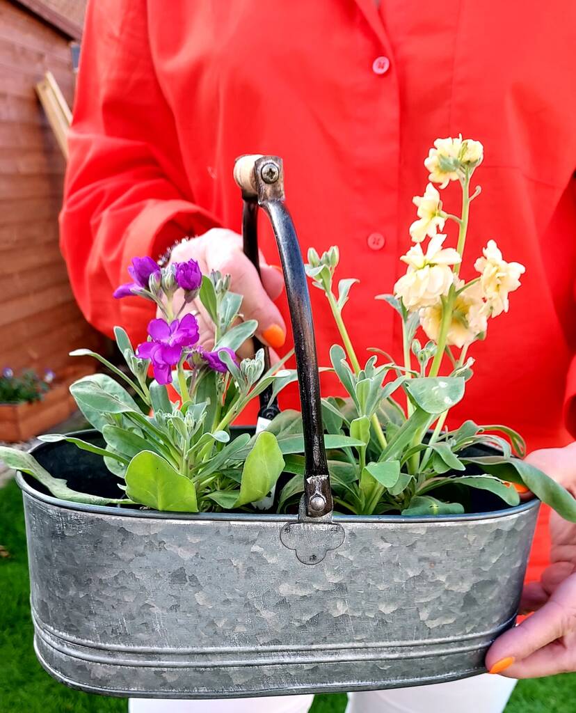 Metal Trug With Handle By Seed Tube