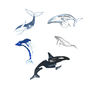 Personalised Whales Name Print, thumbnail 2 of 3