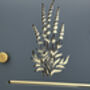 Personalised Lavender Design House Sign Acrylic, thumbnail 6 of 7