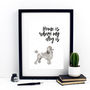 Home Is Where My Dog Is Poodle Print, thumbnail 1 of 3