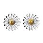 Sterling Silver Daisy Stud Earrings, thumbnail 2 of 2