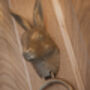 Hare Head Door Knocker, thumbnail 2 of 3