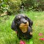 Dachshund Garden Ornament With Green Boots Sausage Dog, thumbnail 7 of 9