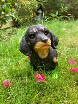 Dachshund Garden Ornament With Green Boots Sausage Dog, 7 of 9