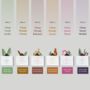 White Sage Smokeless Incense Bricks And Burner Set, thumbnail 2 of 8