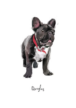 Personalised Illustrated Pet Portrait, 10 of 12