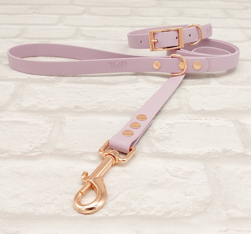 Waterproof Dog Collar And Lead Set Lilac, 1 of 3