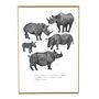 Crash Of Rhinos Art Print, thumbnail 2 of 8