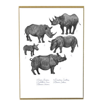 Crash Of Rhinos Art Print, 2 of 8