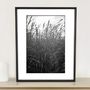The Wild Grasses, Suffolk Photographic Art Print, thumbnail 1 of 4