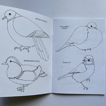 'Colouring Book Of Birds', 4 of 9
