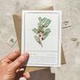 Christmas Botanical Six Cards And Envelopes, thumbnail 8 of 10