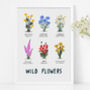Personalised Wild Flowers Print, thumbnail 1 of 4
