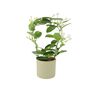 Stephanotis Jasmine Hoop In White Ceramic Pot – 40cm, thumbnail 9 of 9