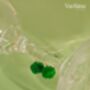 Green Botan Flower Jade Sterling Silver Dangle Earrings, thumbnail 4 of 9