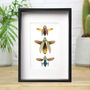 Rainbow Jewel Beetle Collection Insect Bug Entomology Taxidermy Box Frame, thumbnail 1 of 3