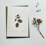 Fruit Botanical Notecard Set, thumbnail 5 of 12