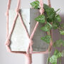 Eco Friendly Popcorn Knot Macrame Plant Hanger, thumbnail 1 of 7