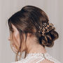 Large Swarovski Crystal Wedding Hair Pins Nova, thumbnail 6 of 12
