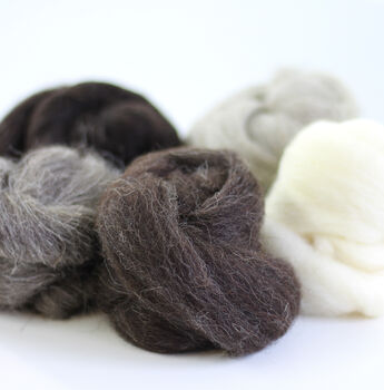British Breeds Wool Bundle No.Three, 5 of 5