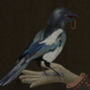 Portia Honeysuckle And Magpie Limited Edition Print, thumbnail 3 of 6