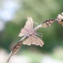 Personalised Butterfly Hanging Garden Bird Feeder, thumbnail 5 of 9