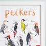 'Peckers' Illustrated Bird Art Print, thumbnail 3 of 3