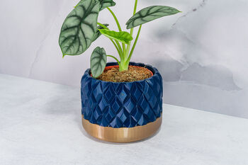 Midnight Gem Planter, 2 of 4