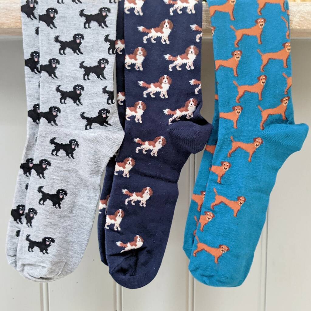 You're The Dog's… Socks Gift Box By MixPixie