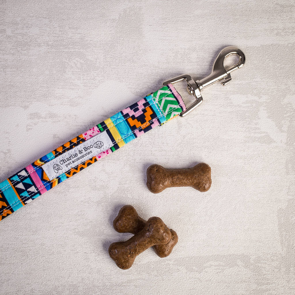 multi colour dog lead for girl or boy dogs by charlie and boo