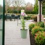 Clematis Hagley Hybrid Climber Plant In 3 L Pot, thumbnail 5 of 7