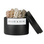 Set Of Five Beaded Hair Ties, thumbnail 5 of 6