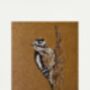 Shaded Birds Pointillism Diy Art Kit Set Of Four, thumbnail 6 of 7